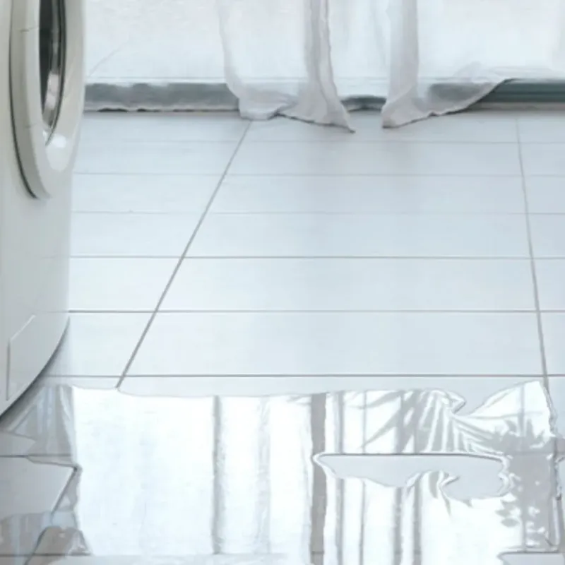 Appliance Leak Cleanup in Lindsay, TX
