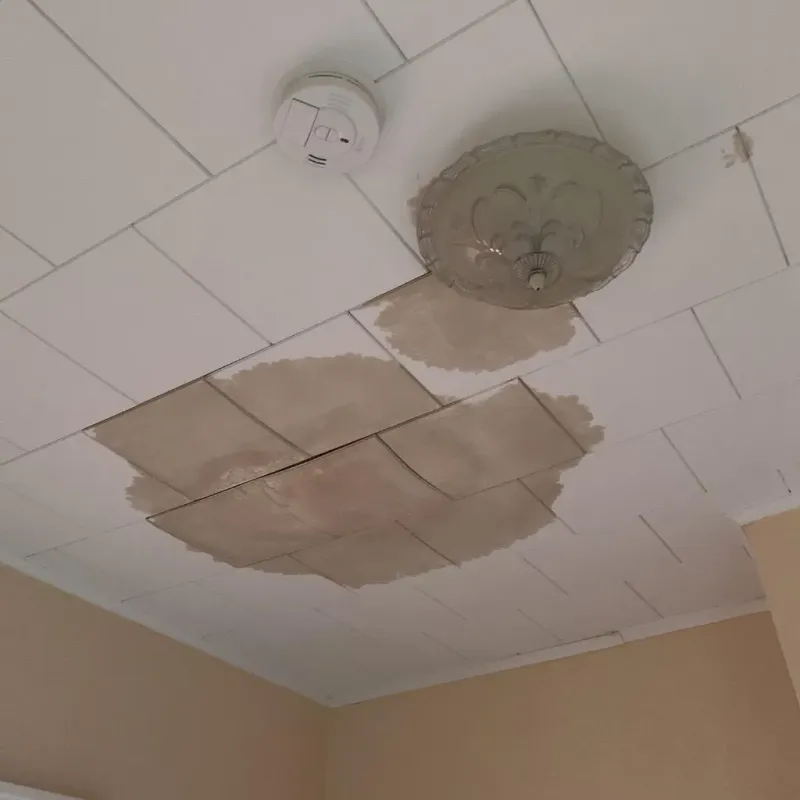 Ceiling Water Damage Repair in Lindsay, TX