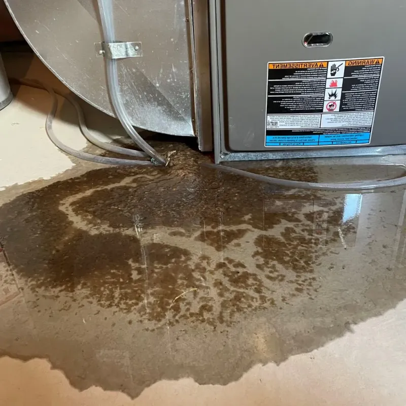 Pipe Burst and Leak Restoration in Lindsay, TX
