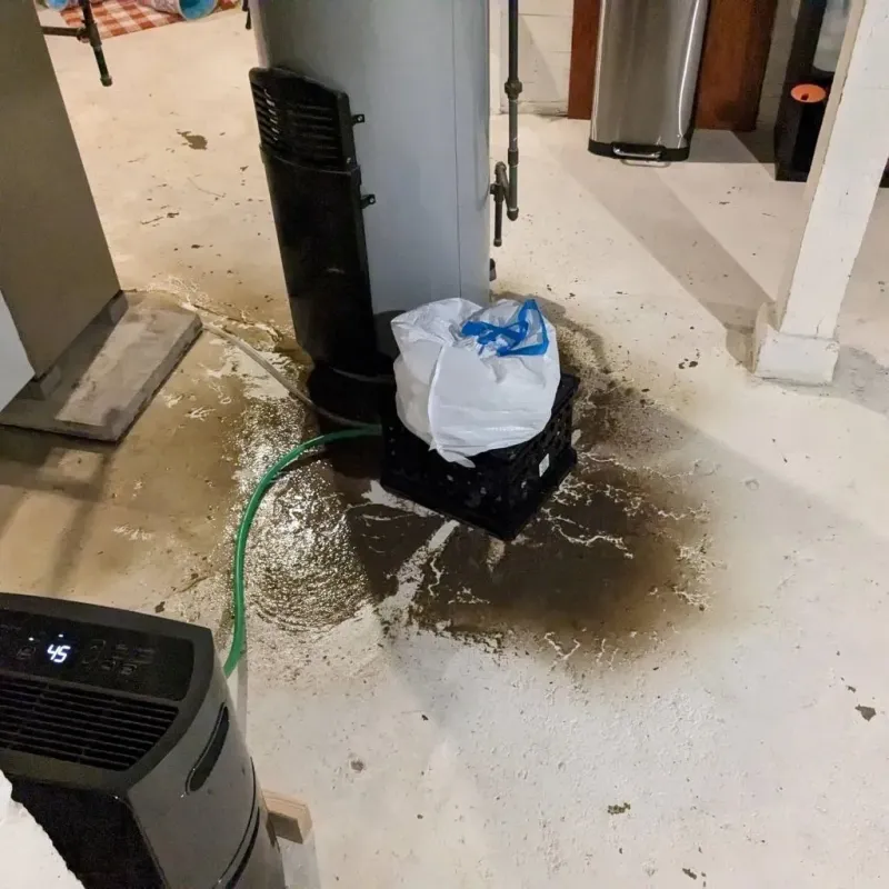 Sewage Backup Cleanup Service in Lindsay, TX